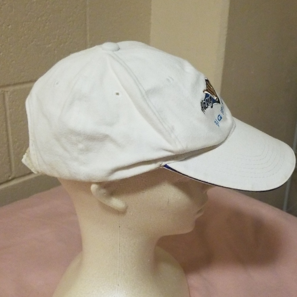 Cap - Picture 2 of 2